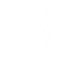 Hstf-white